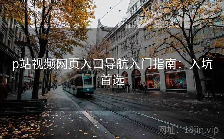 p站视频网页入口导航入门指南：入坑首选