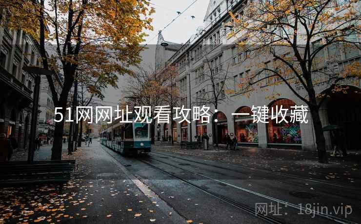 51网网址观看攻略：一键收藏